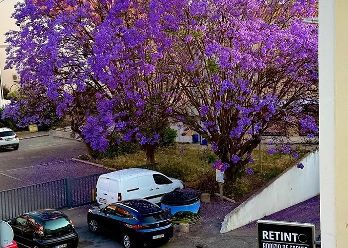 Delta Marina Vilamoura 奎特里拉