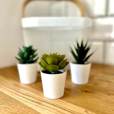 Apartament Delta Marina Vilamoura Quarteira